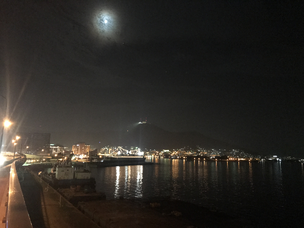 函館観光マラソンの写真8