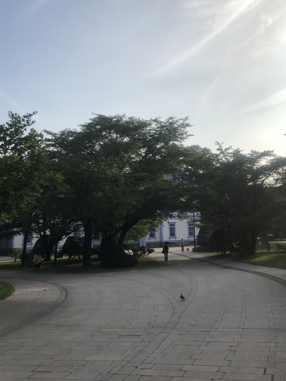 札幌市内から豊平川河川敷で真駒内の手前までの写真3