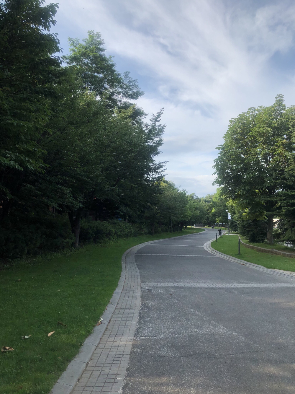 札幌市内から豊平川河川敷で真駒内の手前までの写真5