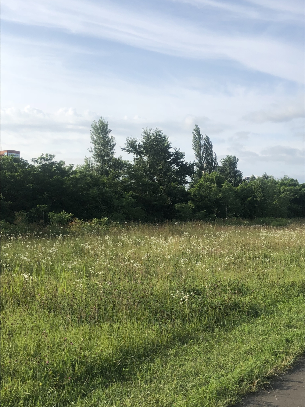 札幌市内から豊平川河川敷で真駒内の手前までの写真7