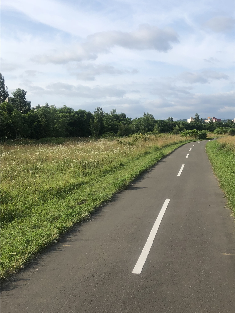 札幌市内から豊平川河川敷で真駒内の手前までの写真8