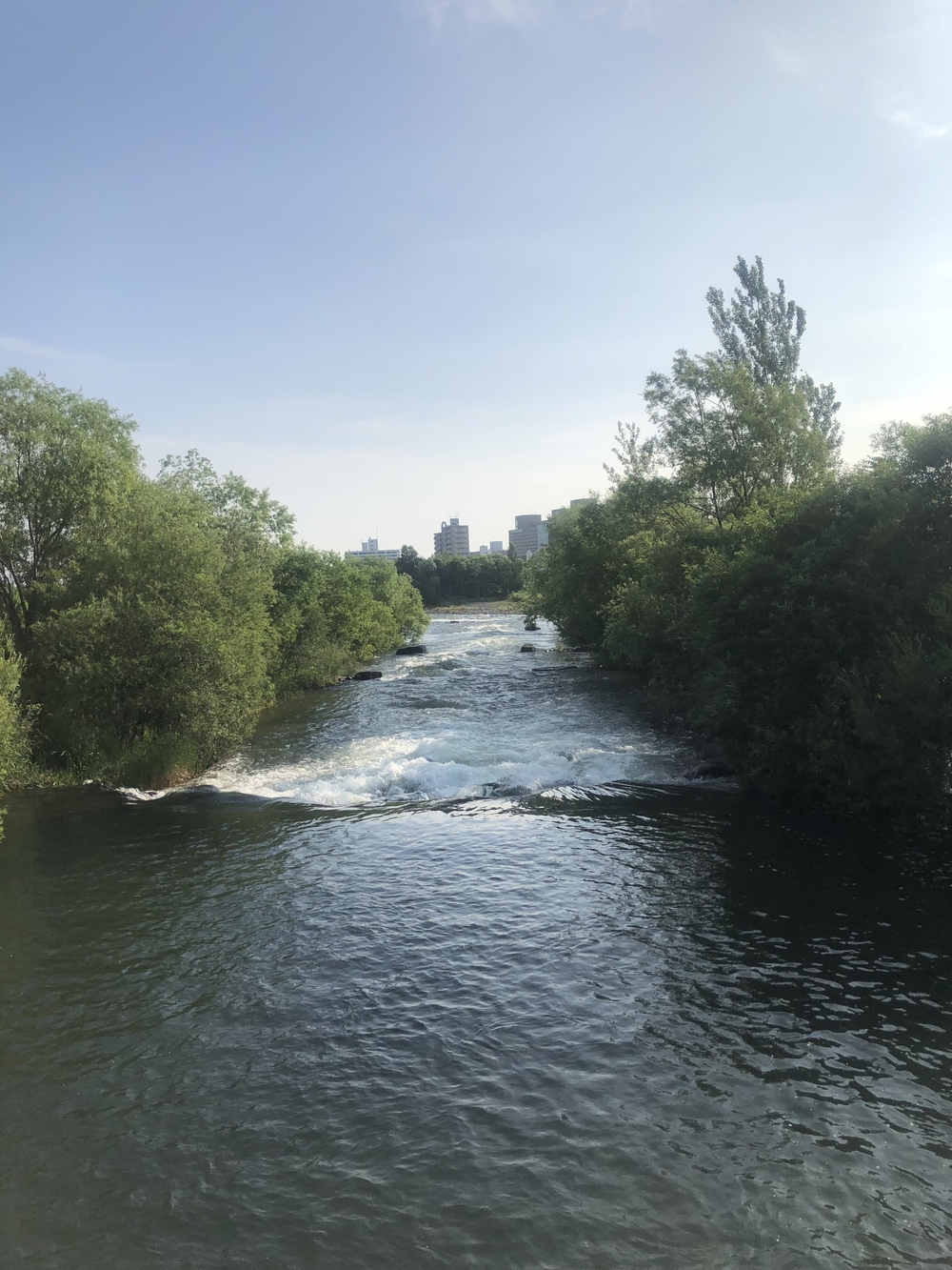 札幌市内から豊平川河川敷で真駒内の手前までの写真9