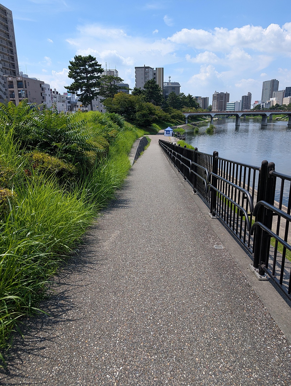 乙川ランニングコースの写真5