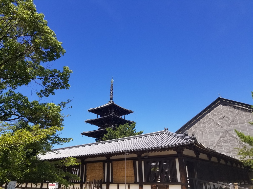 奈良 矢田丘陵縦走(東生駒～法隆寺)トレイルの写真7