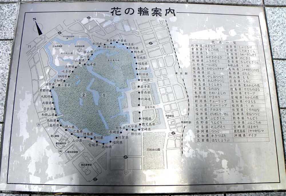 あなたはドコへ行く？①夜の皇居ランの写真3