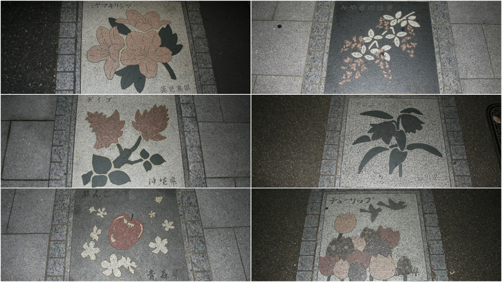 あなたはドコへ行く？①夜の皇居ランの写真5