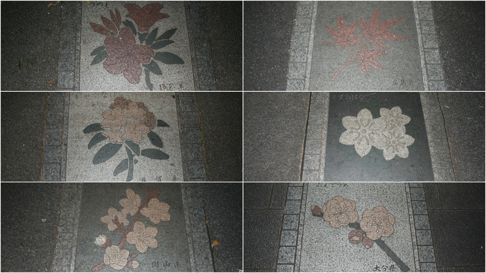 あなたはドコへ行く？①夜の皇居ランの写真6