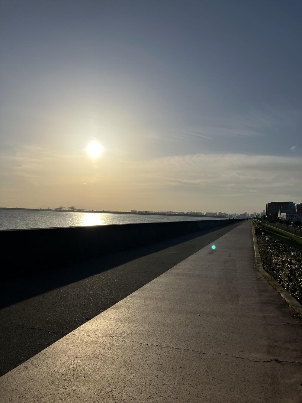 行徳→新浦安→舞浜→葛西臨海公園の写真13