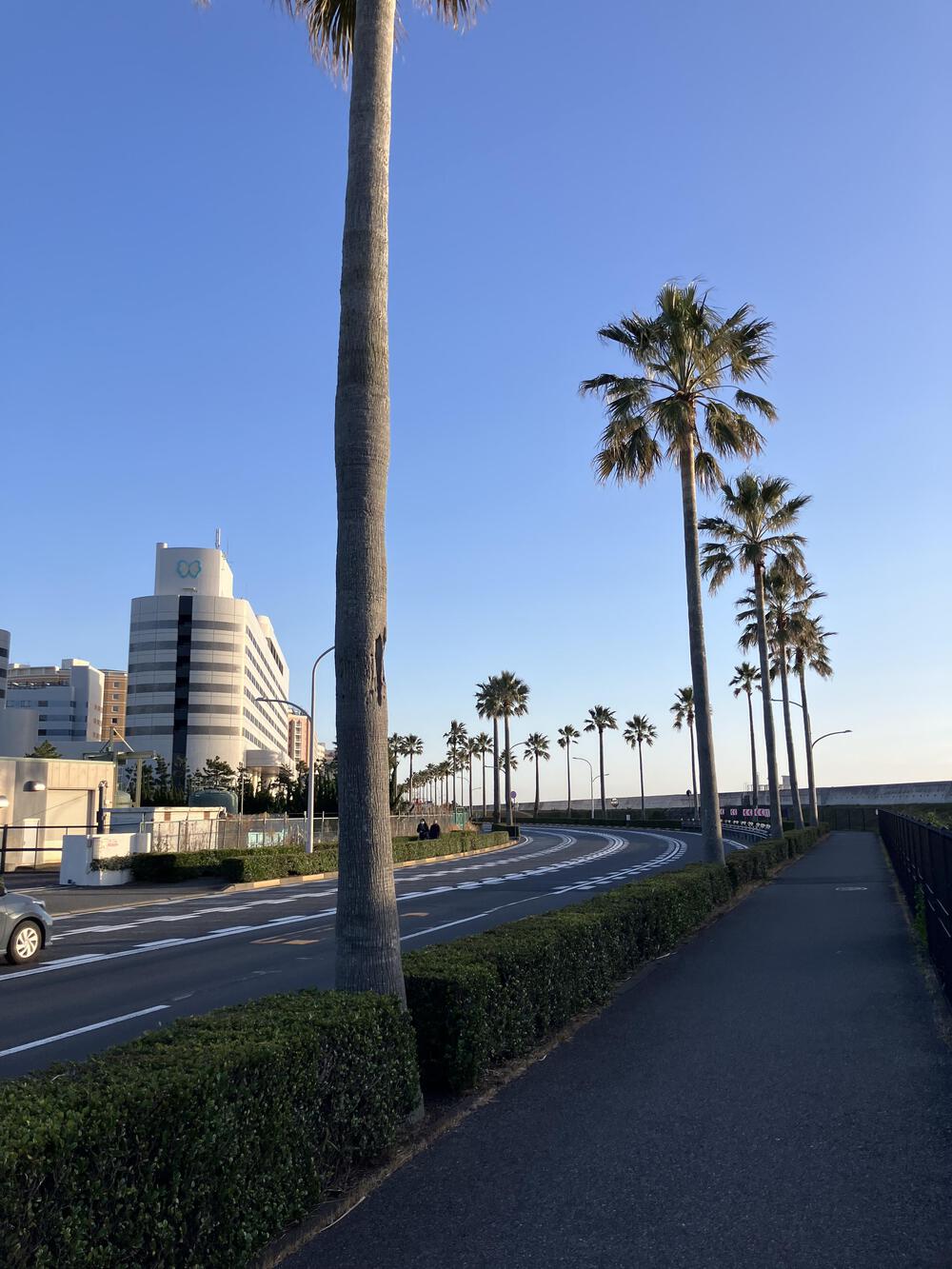 行徳→新浦安→舞浜→葛西臨海公園の写真14