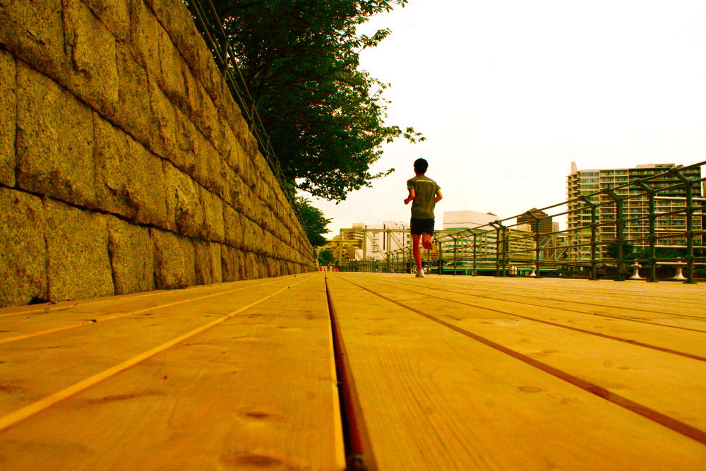 天王洲・芝浦シーサイドランの写真12