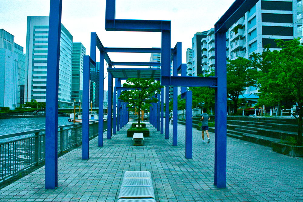 天王洲・芝浦シーサイドランの写真15