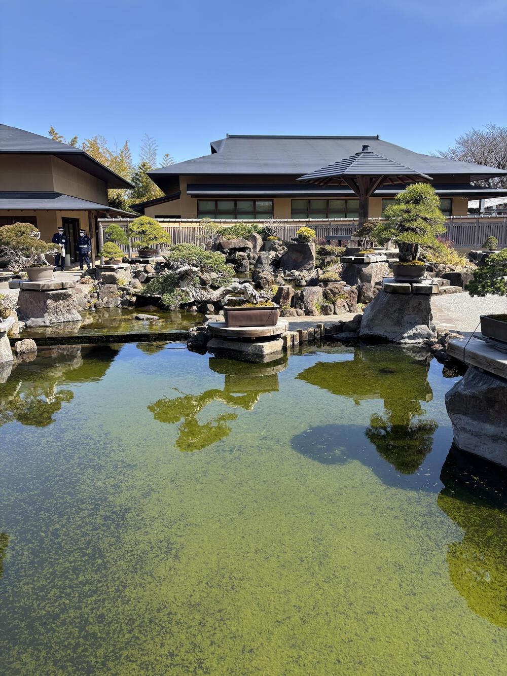 歌川広重と共にRUN 盆栽美術館の写真4