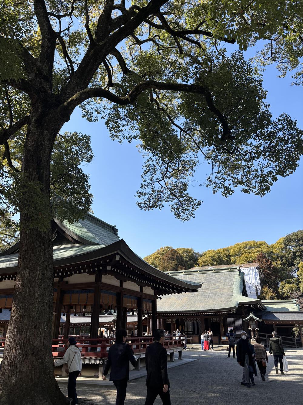 歌川広重と共にRUN 盆栽美術館の写真5