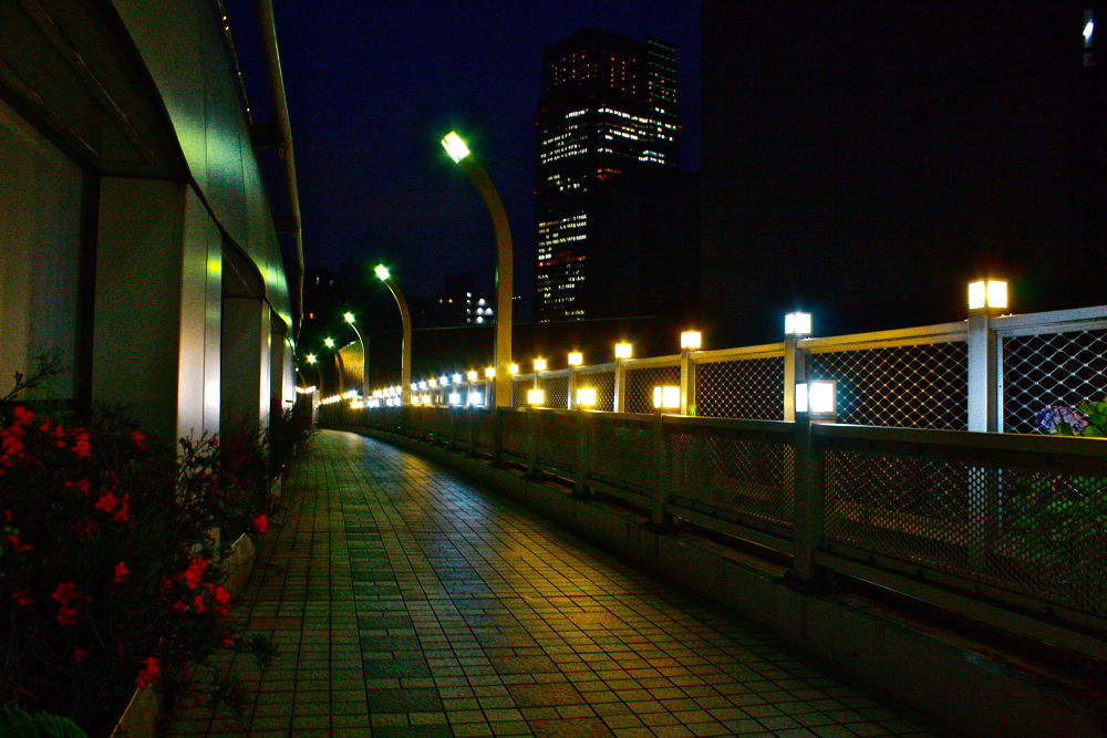 表参道・青山周辺アーバンシティナイトランの写真7