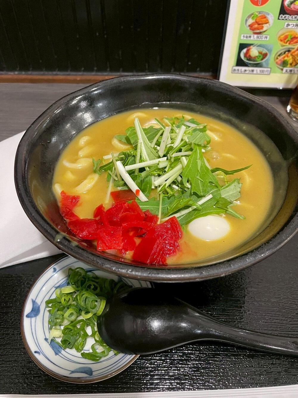 穂の国豊橋ハーフマラソンの写真3