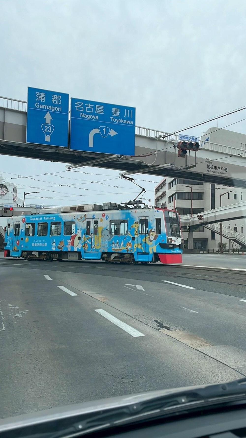 穂の国豊橋ハーフマラソンの写真4