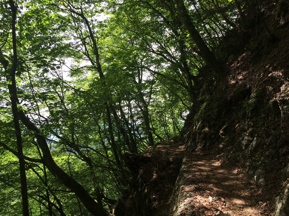「いざ、東京都最高峰へ」の写真3