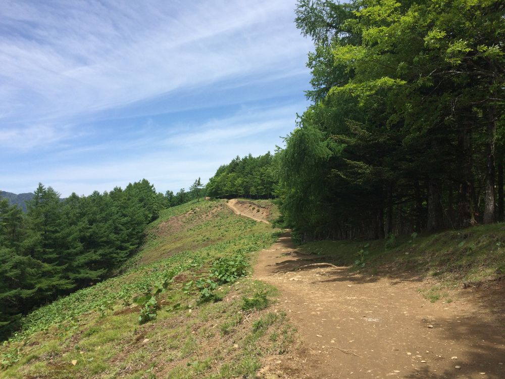 「いざ、東京都最高峰へ」の写真4
