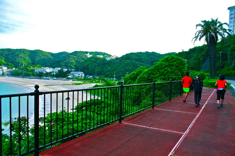 伊豆下田・白浜海岸と紫陽花とペリーロードの写真4