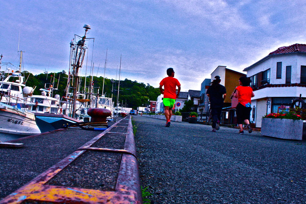 伊豆下田・白浜海岸と紫陽花とペリーロードの写真6