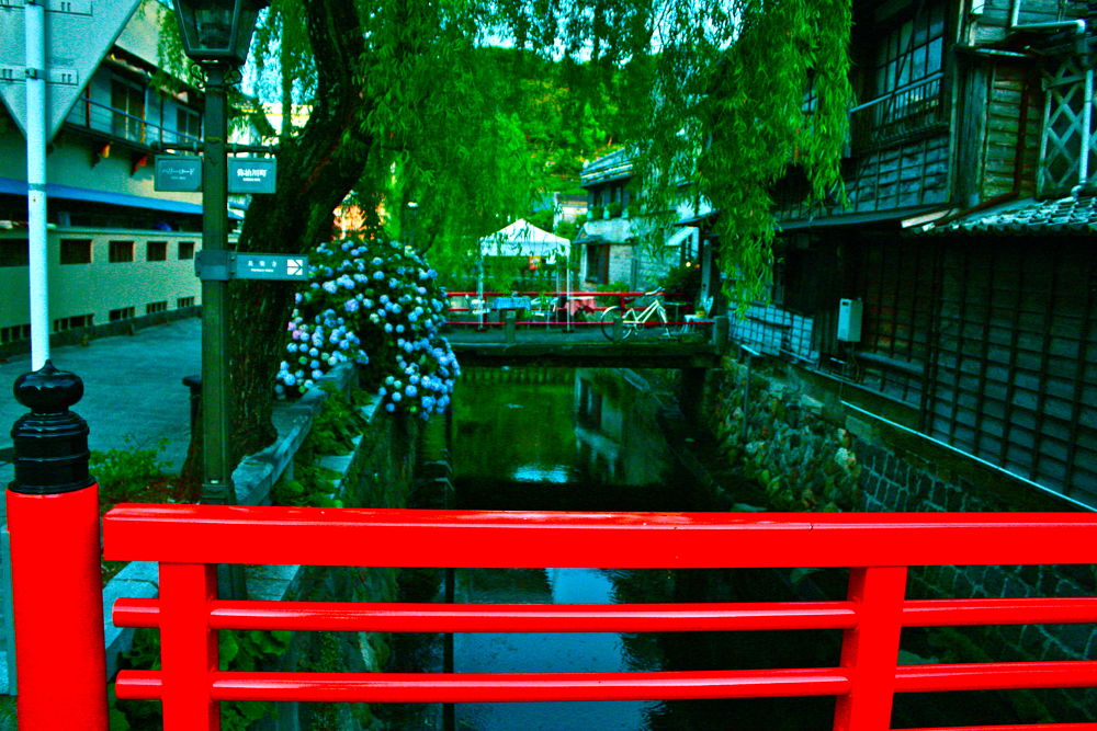 伊豆下田・白浜海岸と紫陽花とペリーロードの写真8