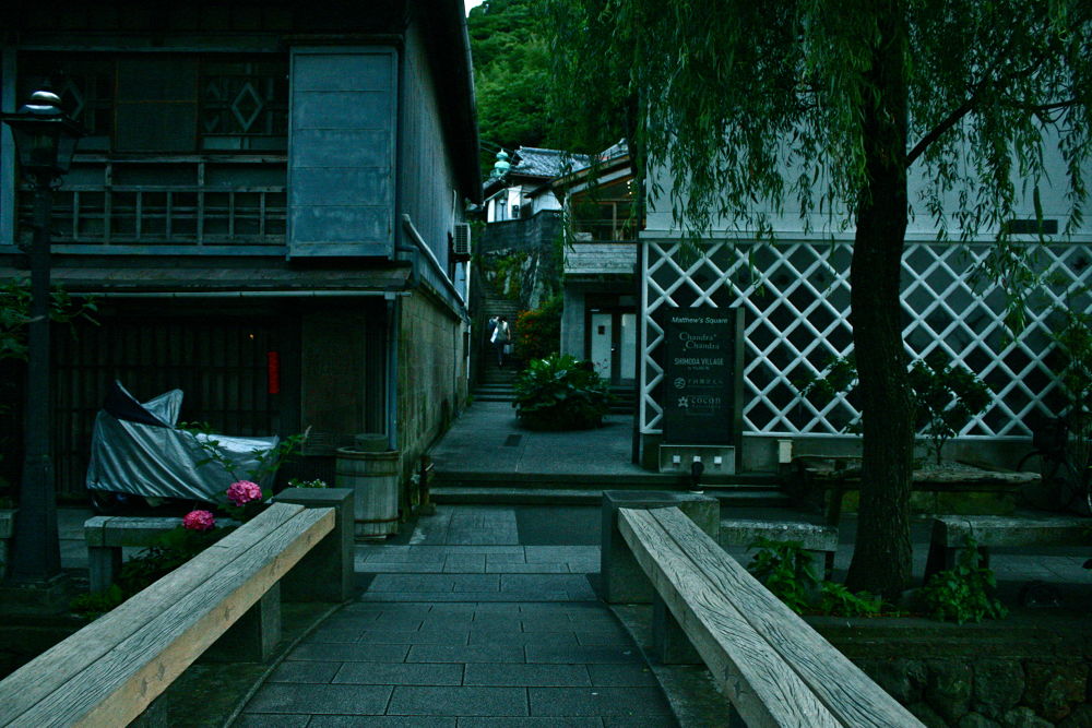 伊豆下田・白浜海岸と紫陽花とペリーロードの写真9