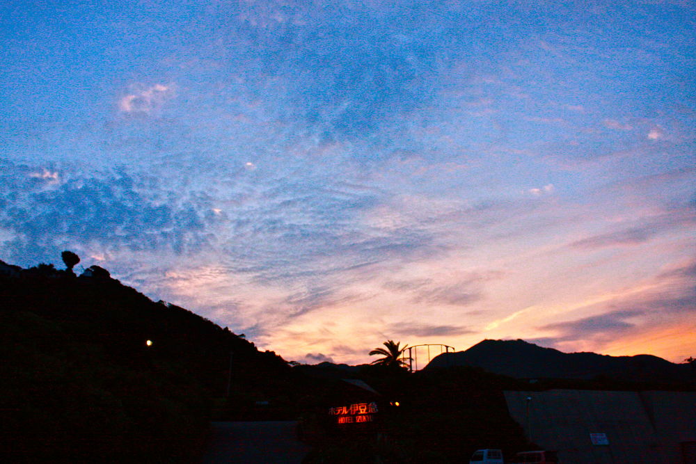 伊豆下田・白浜海岸と紫陽花とペリーロードの写真11