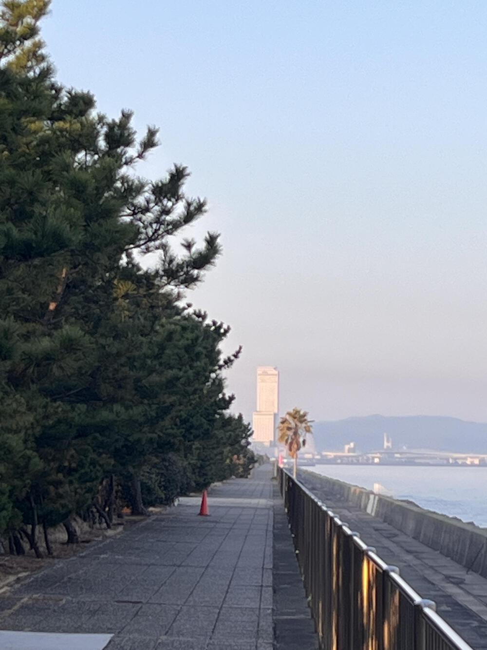 二色浜公園〜緑地公園〜パークタウン海沿いの写真3