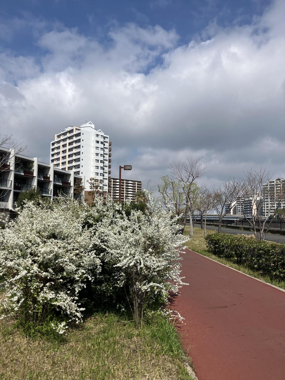 浦安駅からＤパーク境川花見ラン5キロの写真7