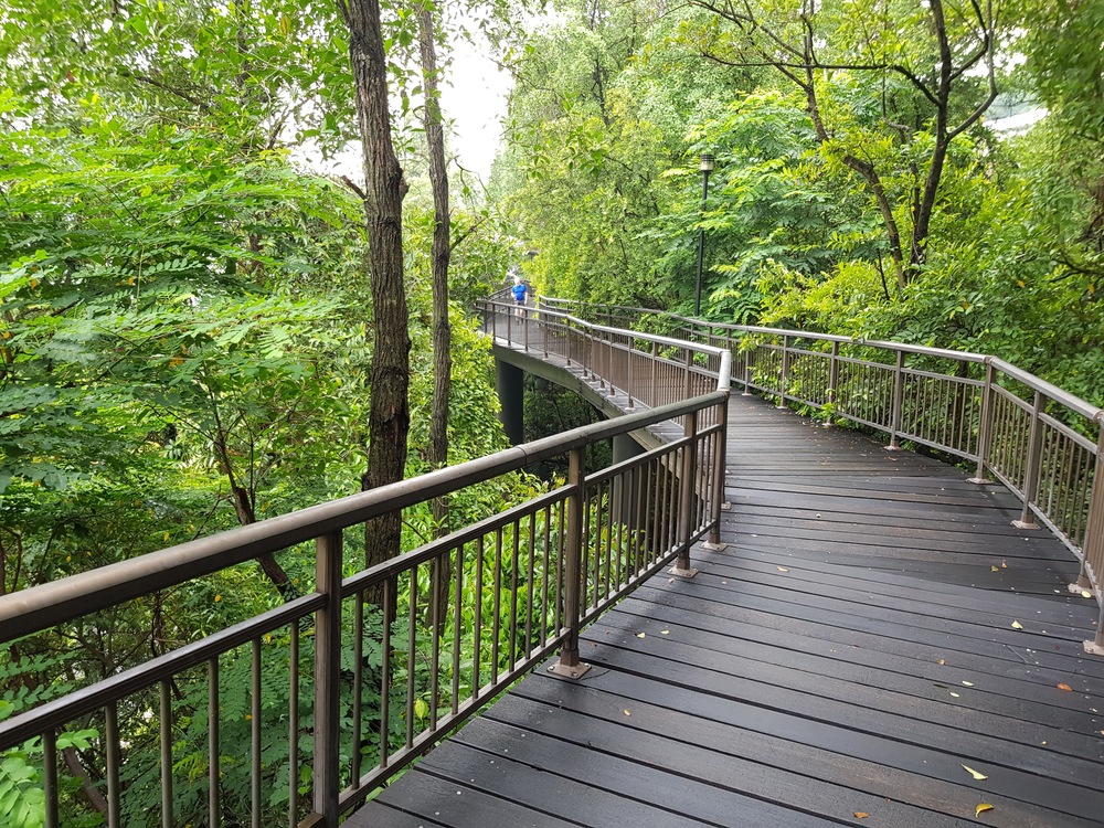 シンガポール新定番コース・サザンリッジ Southern Ridgesの写真5