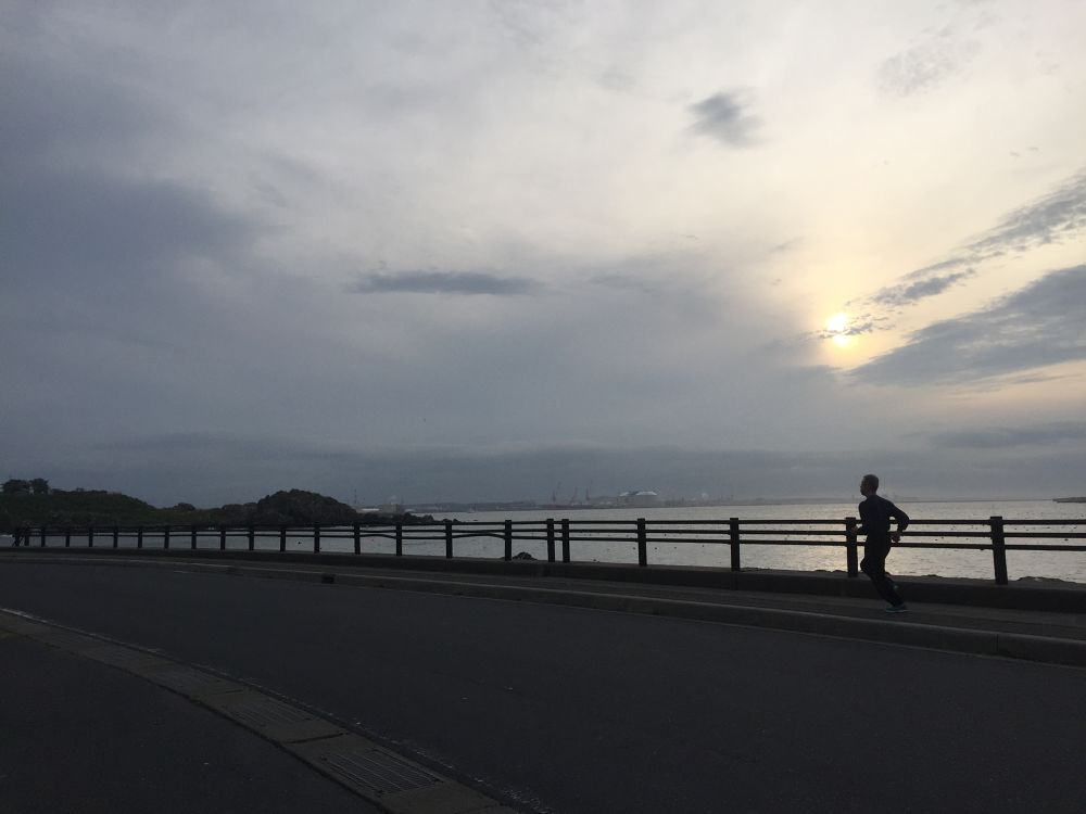 八戸市の基本コース うみねこマラソンハーフコースの写真3