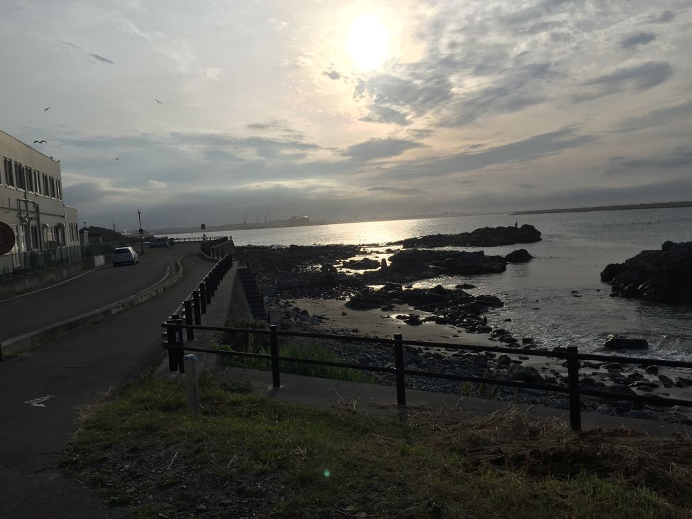 八戸市の基本コース うみねこマラソンハーフコースの写真4