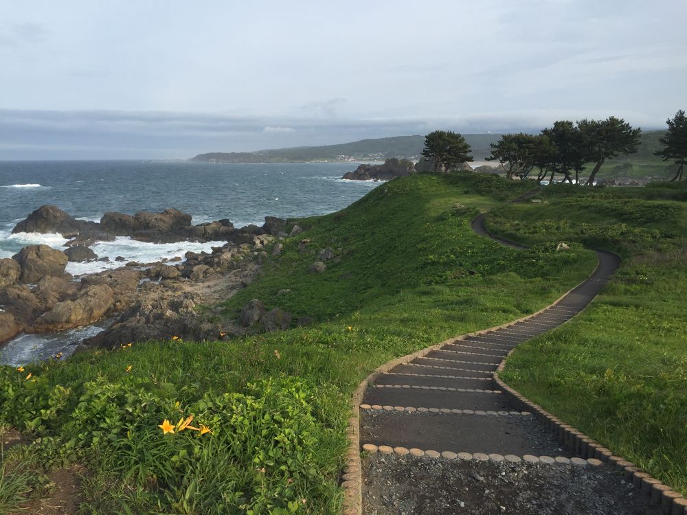 八戸市の基本コース うみねこマラソンハーフコースの写真6