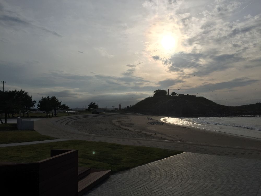 八戸市の基本コース うみねこマラソンハーフコースの写真8