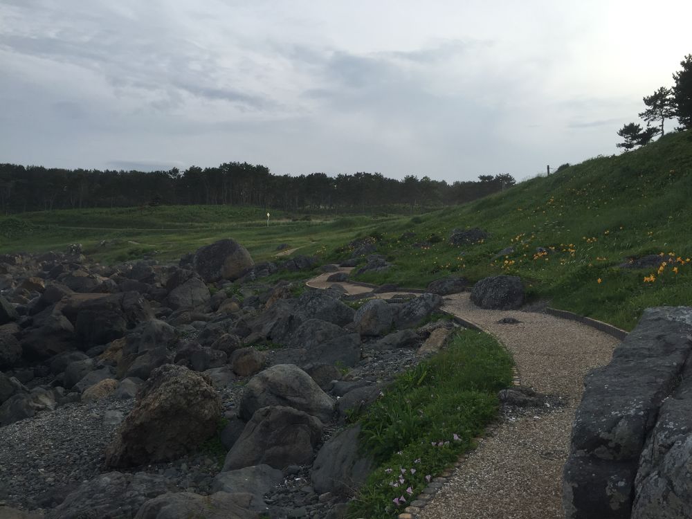 八戸市の基本コース うみねこマラソンハーフコースの写真11