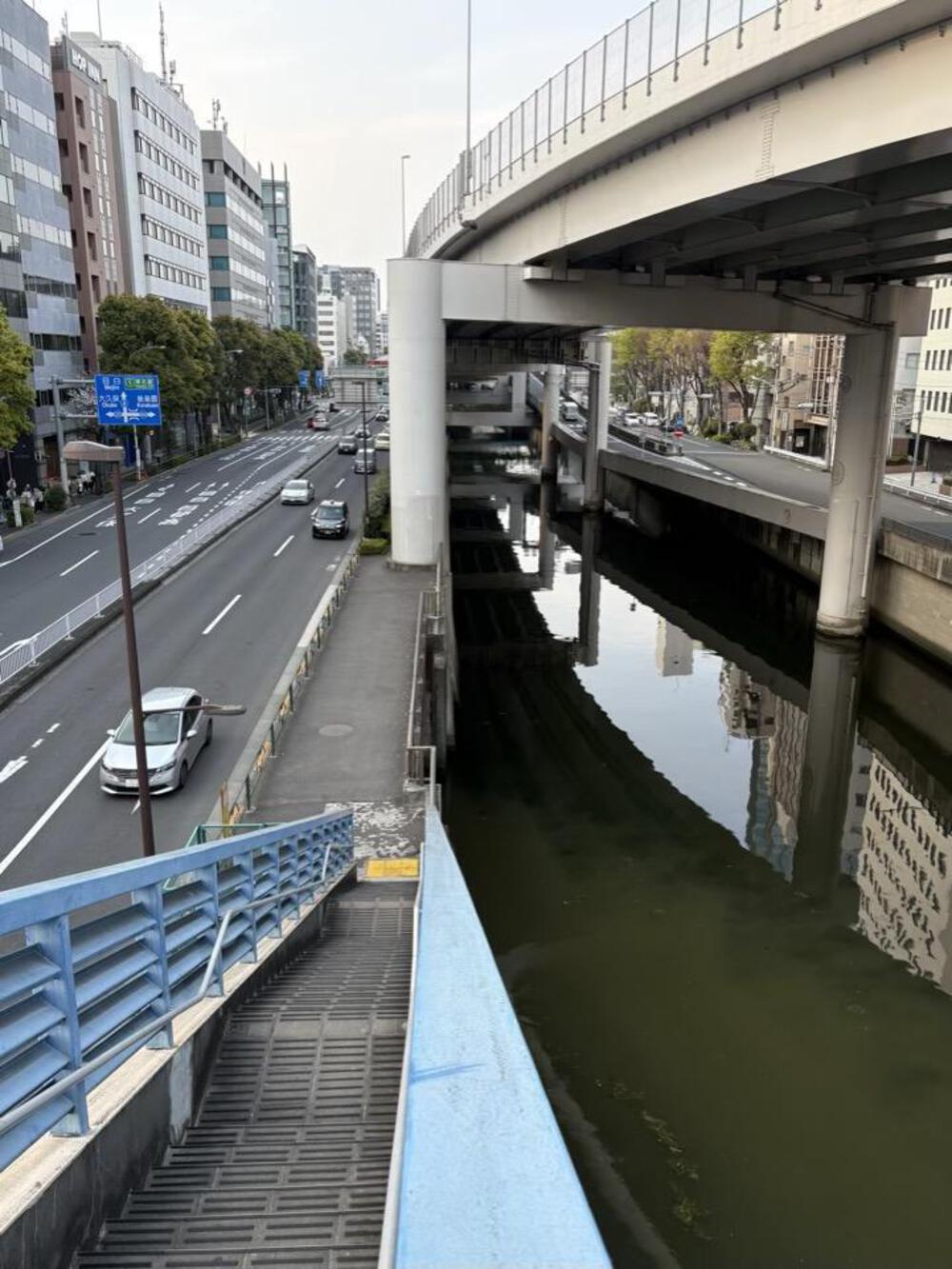 飯田橋ハトのGPSアート（17km）の写真5