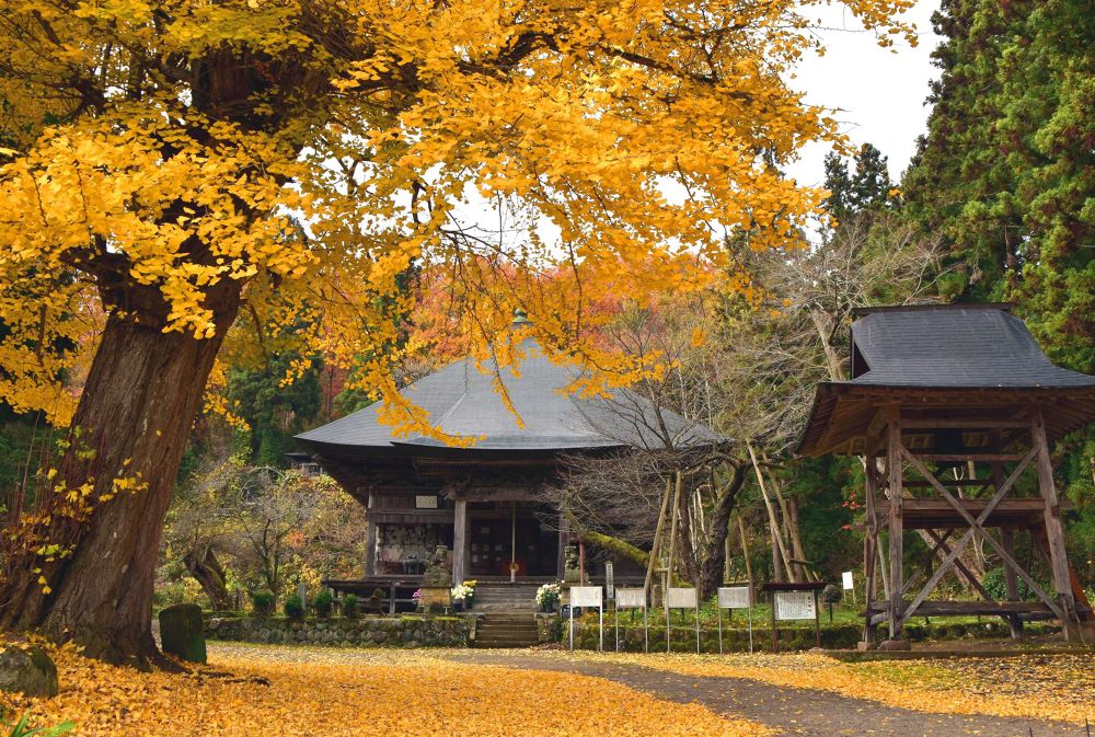 会津美里・桜と三重の塔をめぐる歴史ＲＵＮの写真7