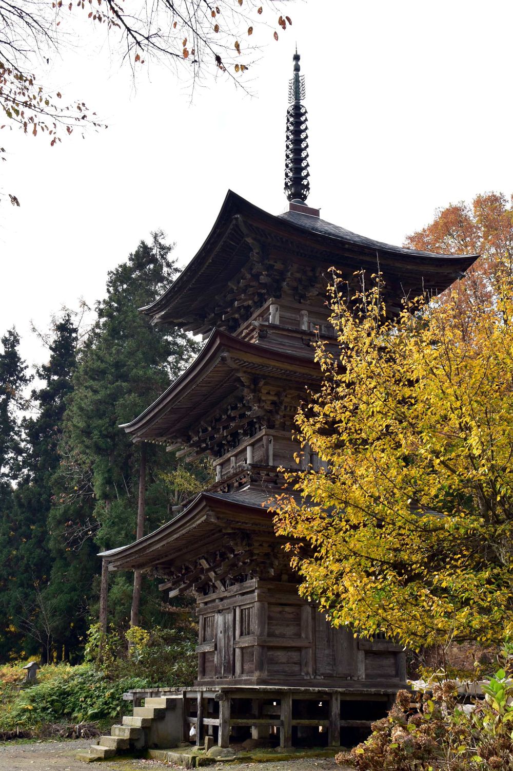 会津美里・桜と三重の塔をめぐる歴史ＲＵＮの写真8