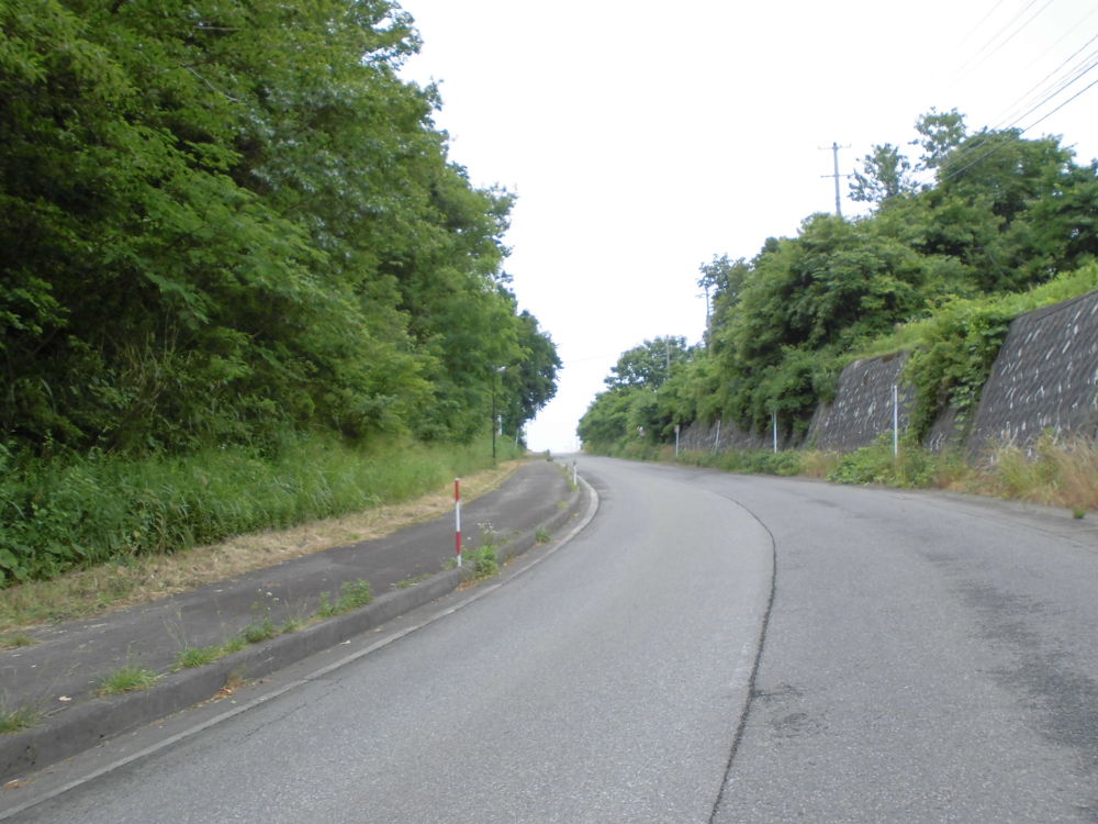 会津美里・桜と三重の塔をめぐる歴史ＲＵＮの写真12