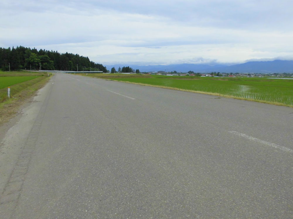 会津美里・桜と三重の塔をめぐる歴史ＲＵＮの写真14