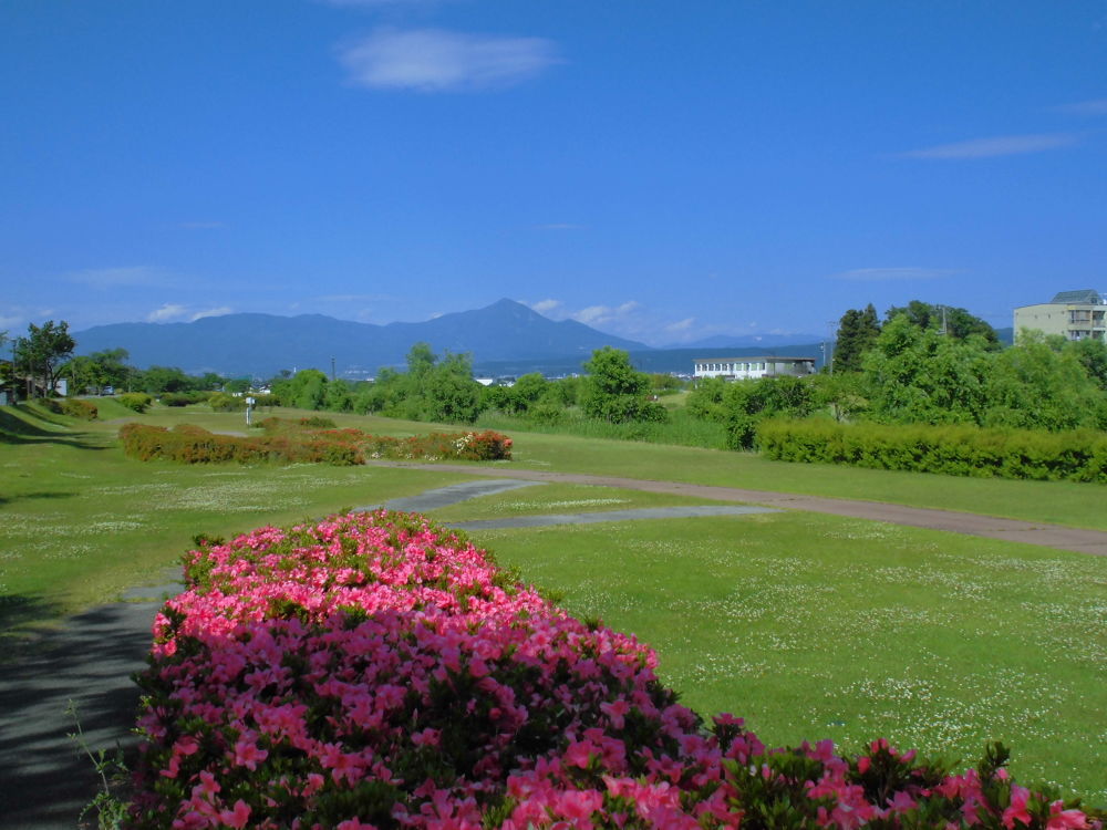 会津美里・清流宮川の桜並木と併走RUNの写真4