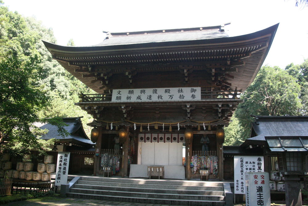 会津美里・清流宮川の桜並木と併走RUNの写真6