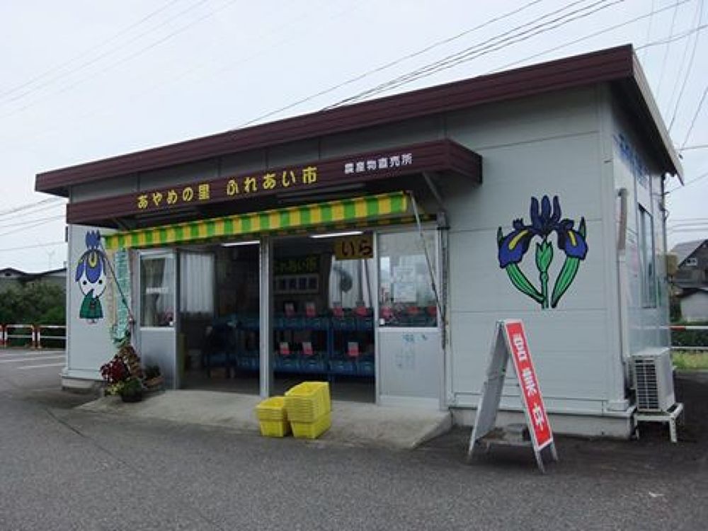 会津美里・清流宮川の桜並木と併走RUNの写真9