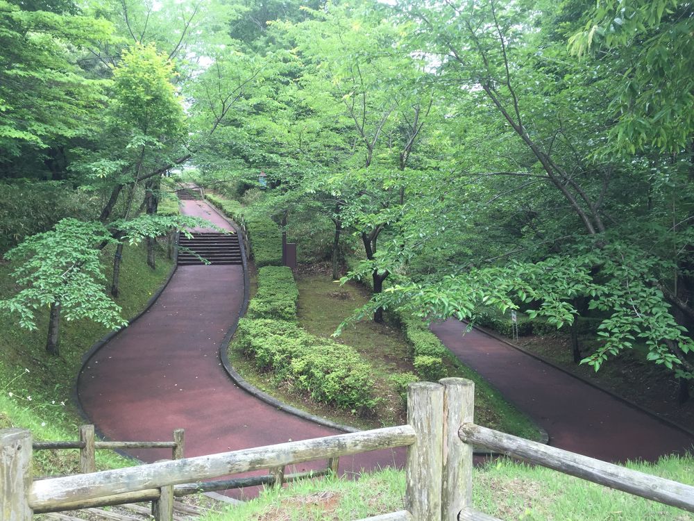 南部山運動公園〜フェリー埠頭までの意外と近いトレイルラン付きのラントリップの写真5