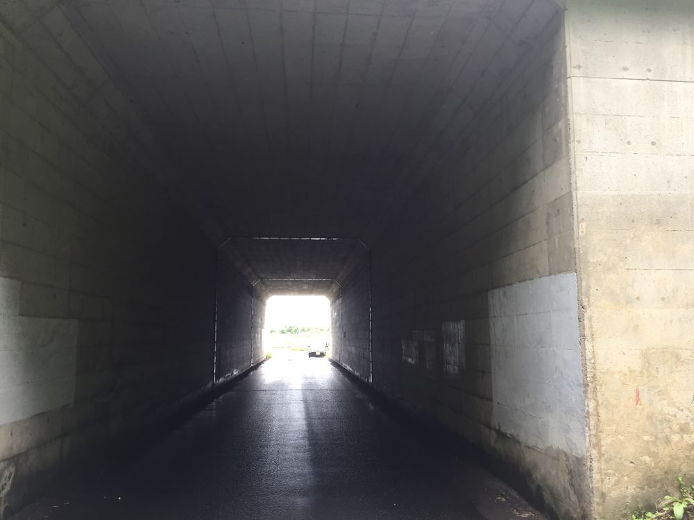 南部山運動公園〜フェリー埠頭までの意外と近いトレイルラン付きのラントリップの写真6