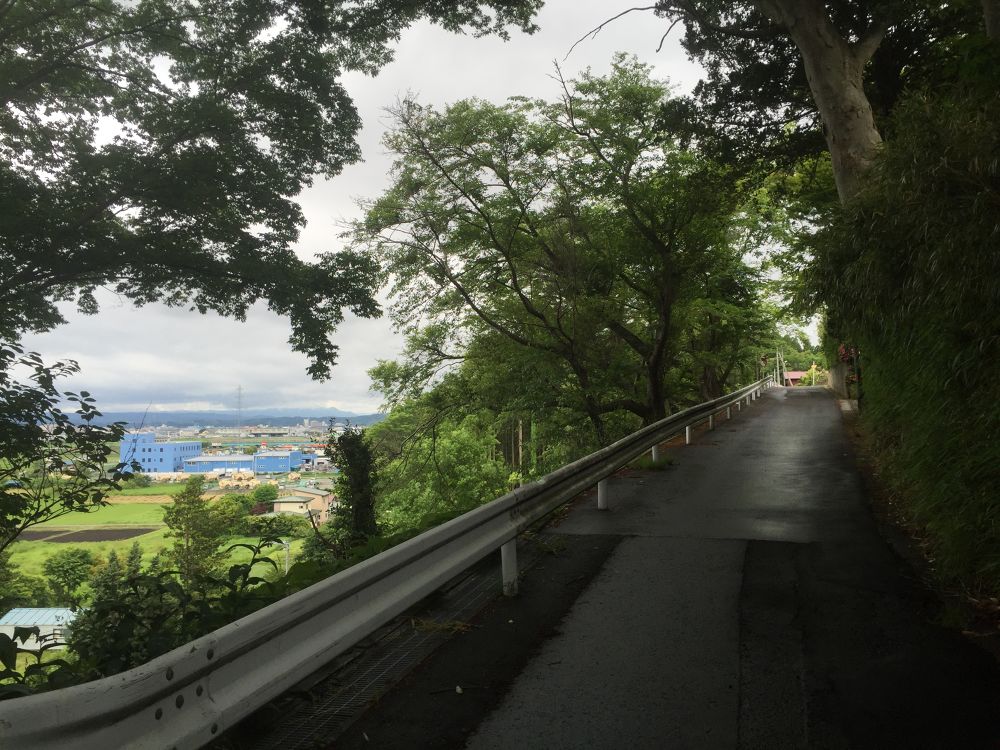 南部山運動公園〜フェリー埠頭までの意外と近いトレイルラン付きのラントリップの写真7