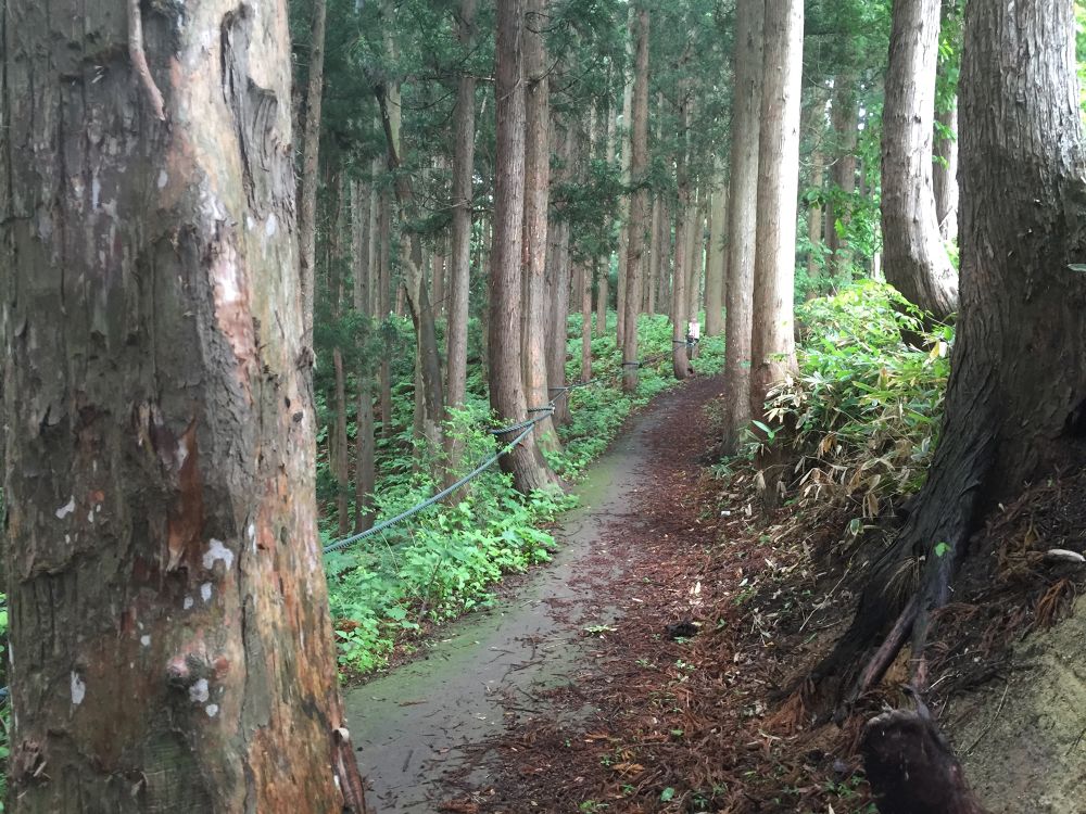 南部山運動公園〜フェリー埠頭までの意外と近いトレイルラン付きのラントリップの写真8