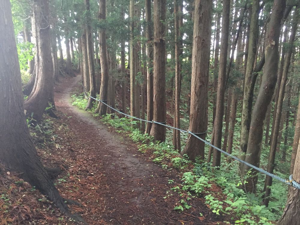 南部山運動公園〜フェリー埠頭までの意外と近いトレイルラン付きのラントリップの写真9