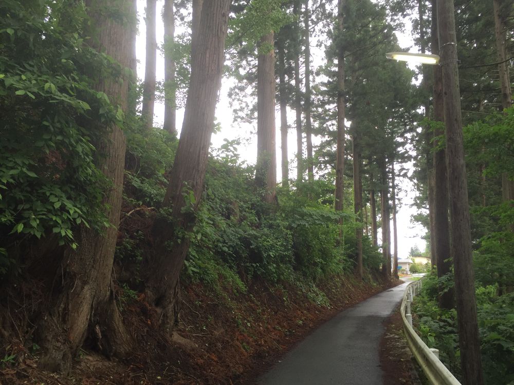 南部山運動公園〜フェリー埠頭までの意外と近いトレイルラン付きのラントリップの写真12