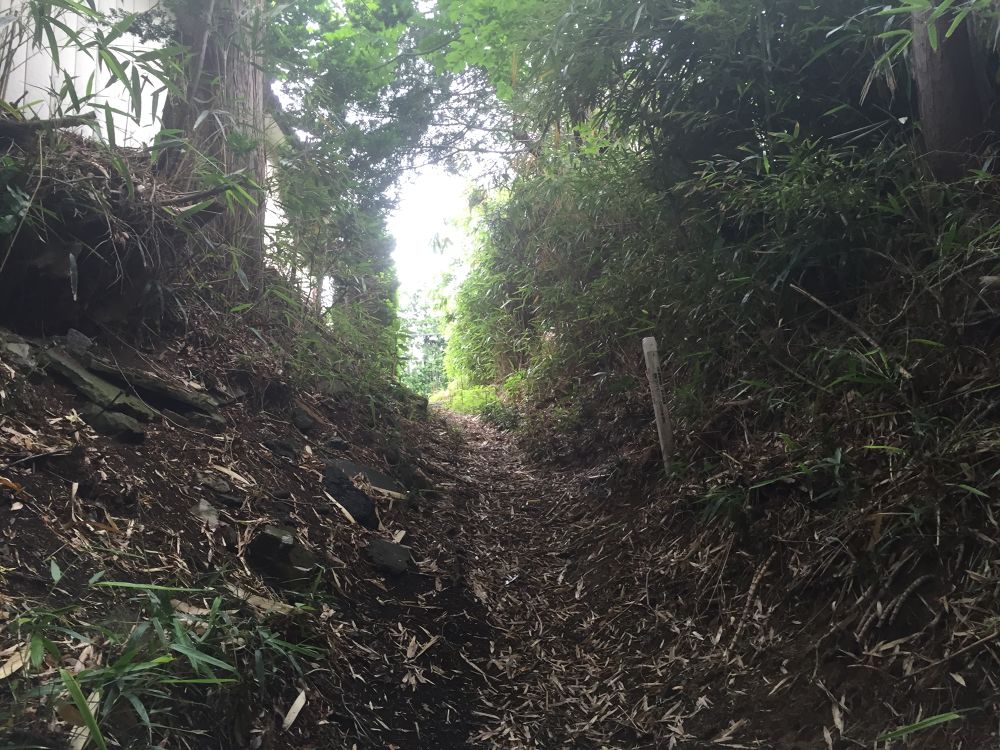 南部山運動公園〜フェリー埠頭までの意外と近いトレイルラン付きのラントリップの写真13